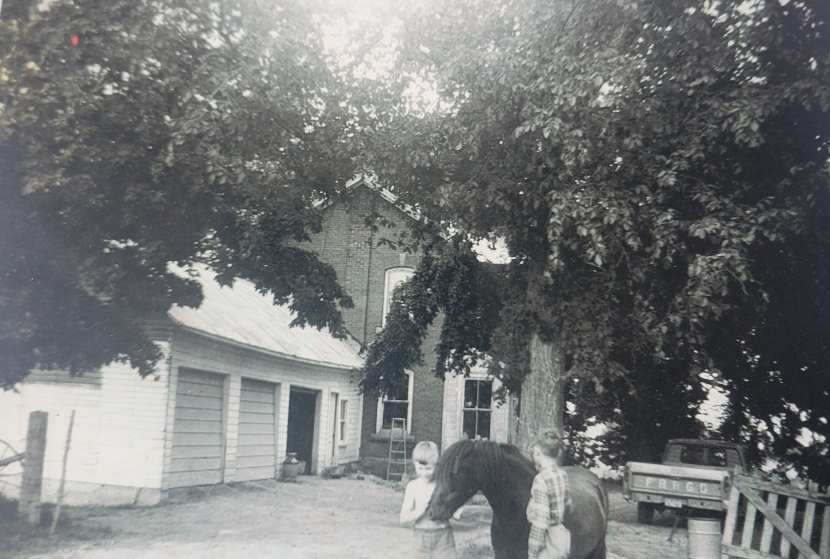 Black and white photo of the farm, two boys, and a horse